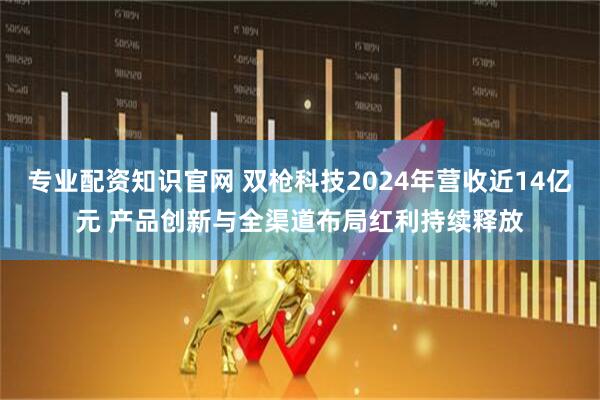 专业配资知识官网 双枪科技2024年营收近14亿元 产品创新与全渠道布局红利持续释放