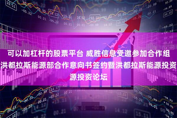 可以加杠杆的股票平台 威胜信息受邀参加合作组织与洪都拉斯能源部合作意向书签约暨洪都拉斯能源投资论坛