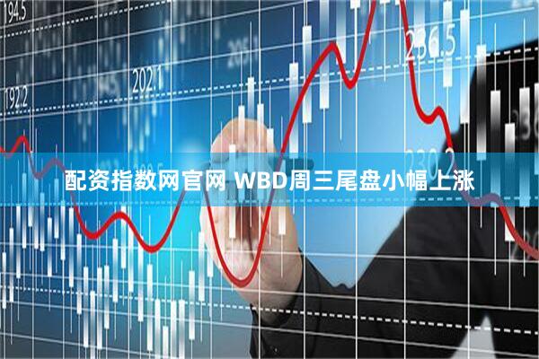 配资指数网官网 WBD周三尾盘小幅上涨