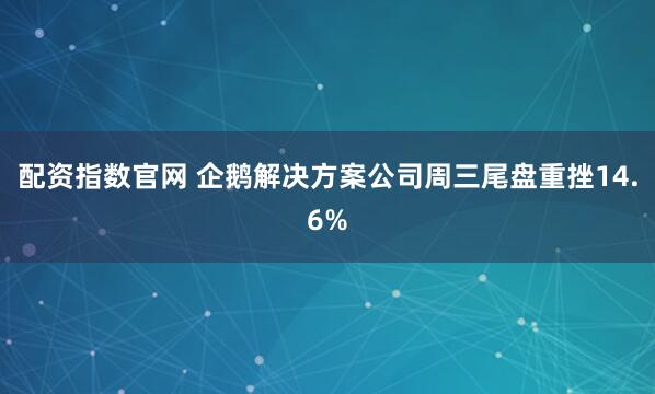 配资指数官网 企鹅解决方案公司周三尾盘重挫14.6%